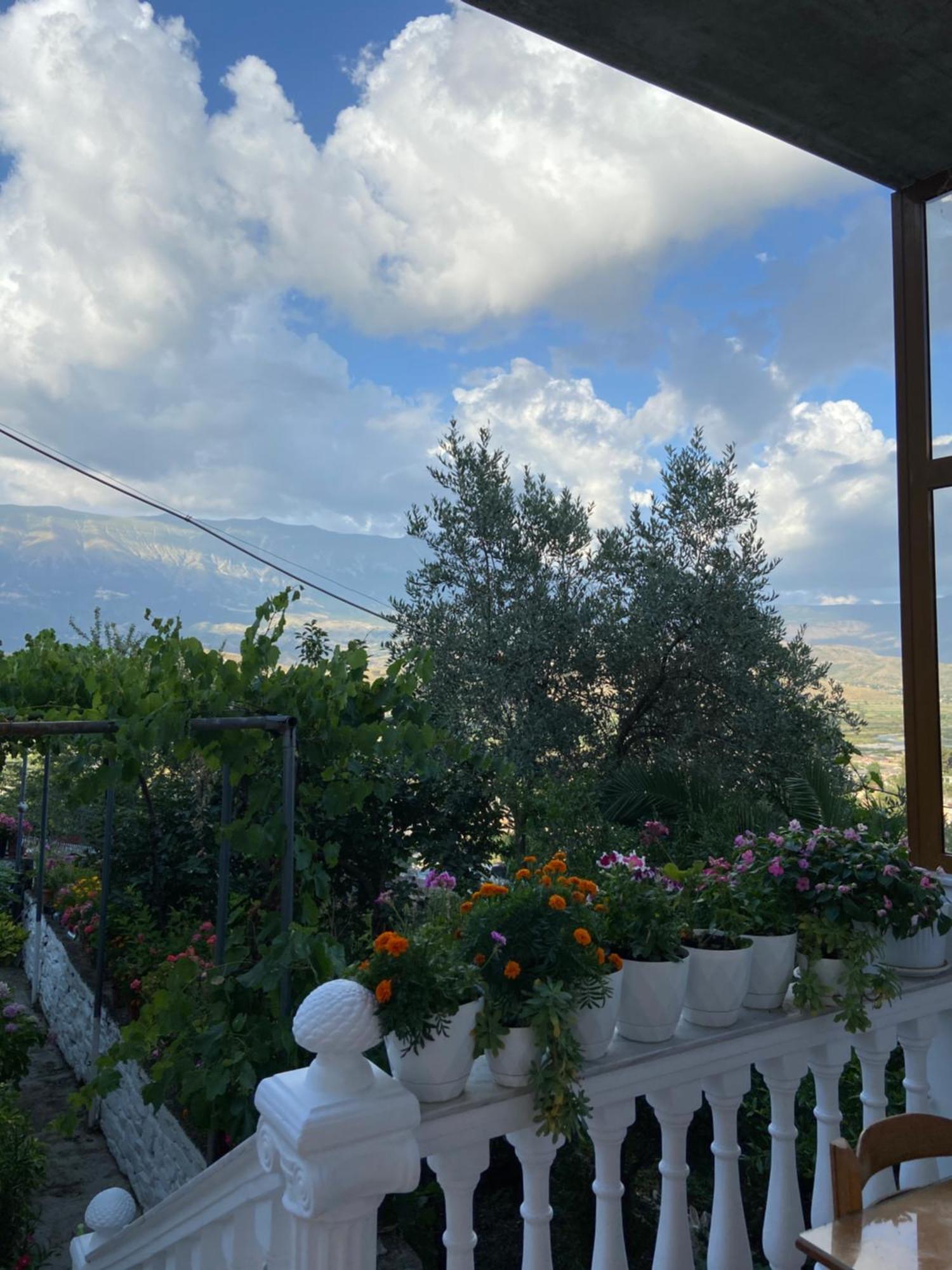 Stonetale Garden Guesthouse Gjirokastër Exterior foto